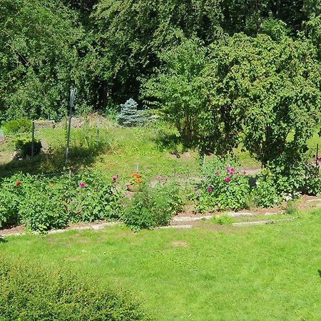 Ferienhaus In Geesthacht-Tesperhude Direkt Am Waldrand Eksteriør billede