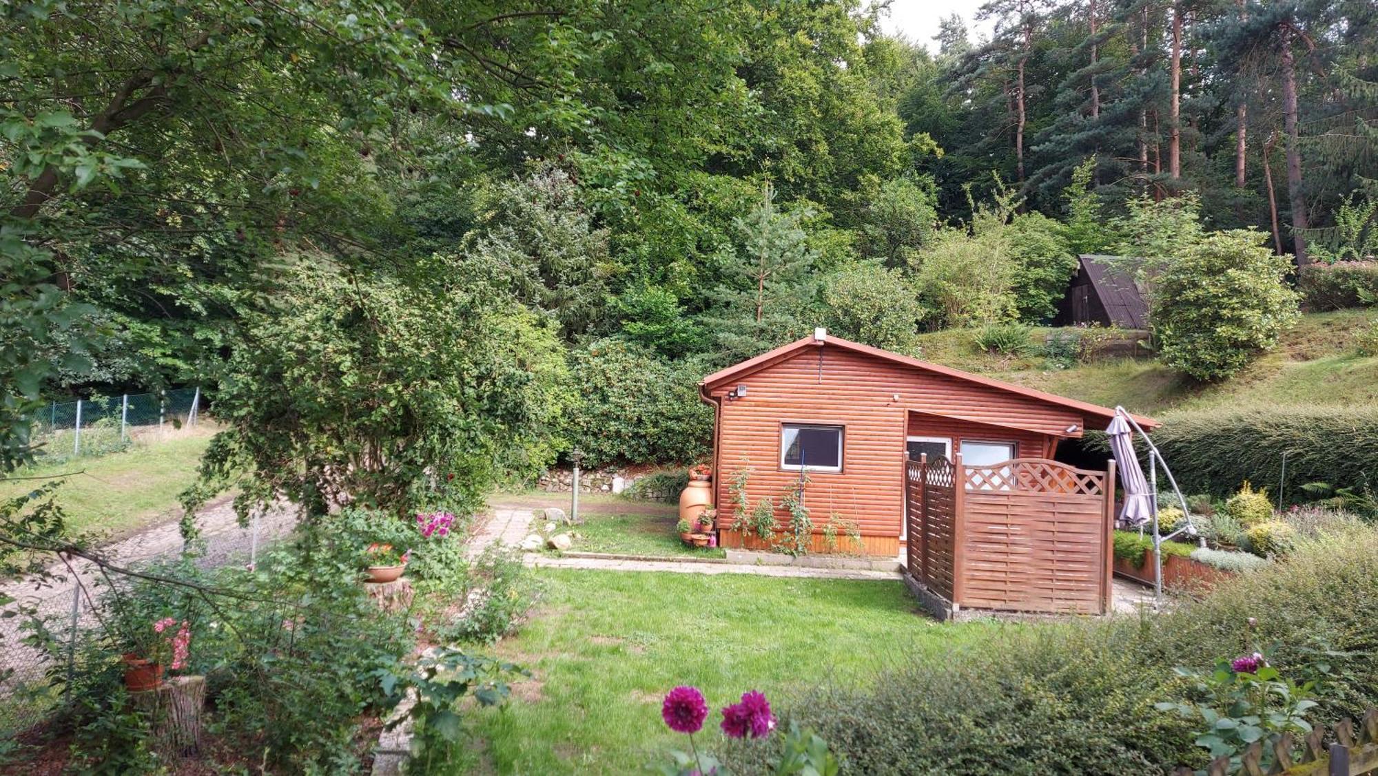 Ferienhaus In Geesthacht-Tesperhude Direkt Am Waldrand Eksteriør billede
