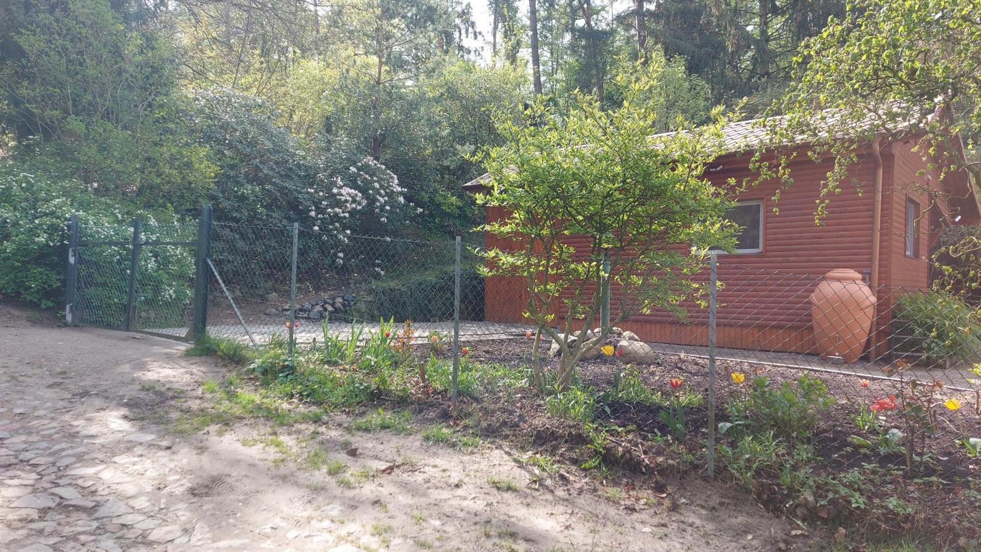 Ferienhaus In Geesthacht-Tesperhude Direkt Am Waldrand Eksteriør billede