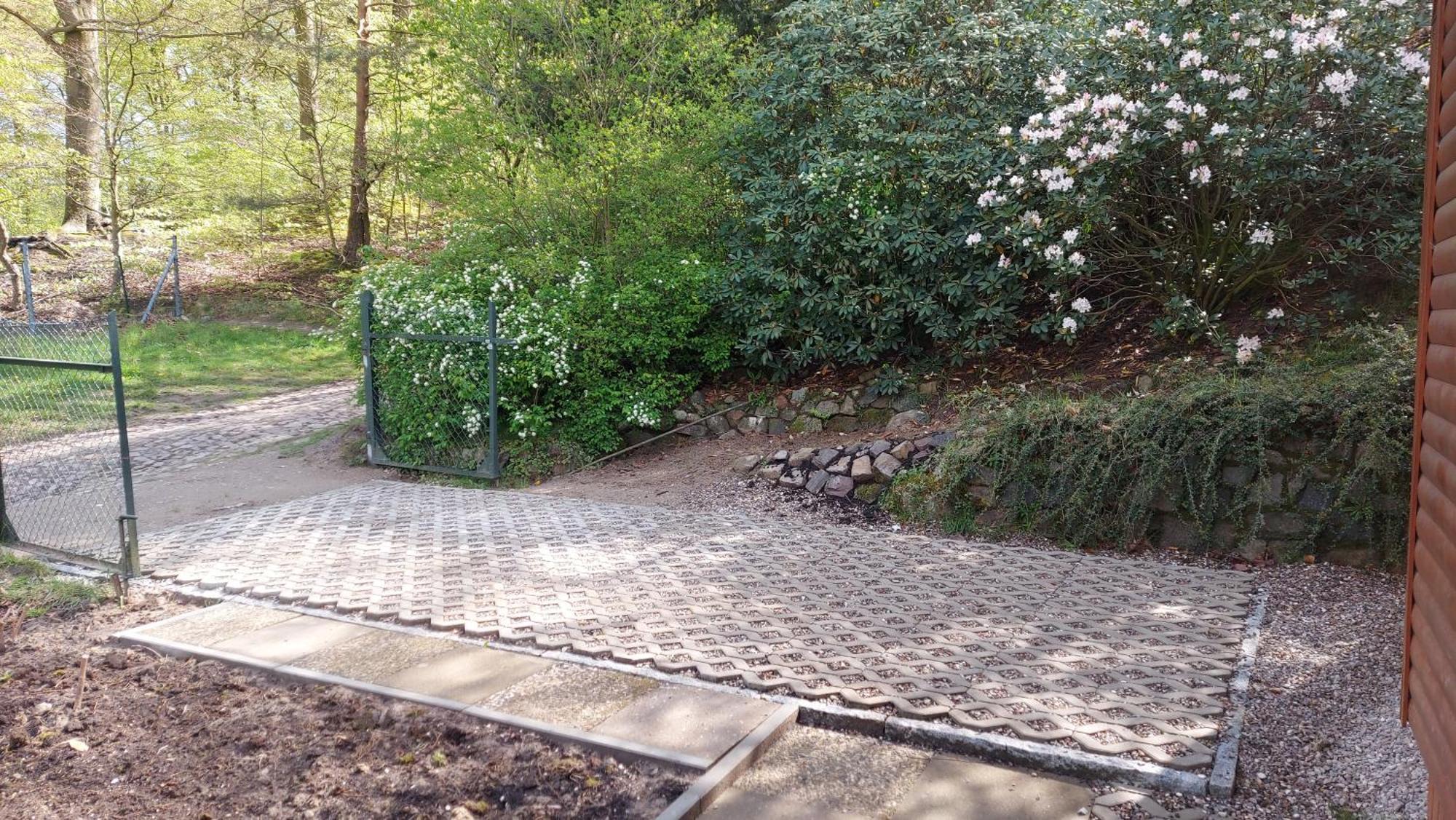 Ferienhaus In Geesthacht-Tesperhude Direkt Am Waldrand Eksteriør billede